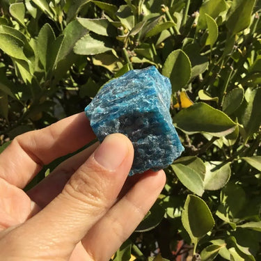 The Stone of Achievement Natural Blue Apatite-Your Soul Place